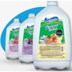 Yogurt 4000g - Garrafa
